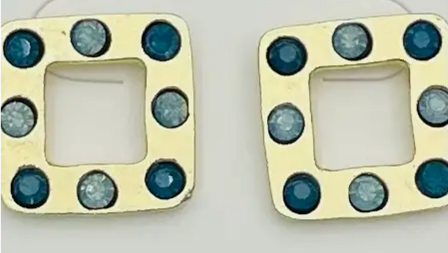 Penny Earrings