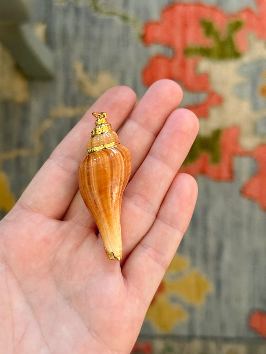 Shell Charm C